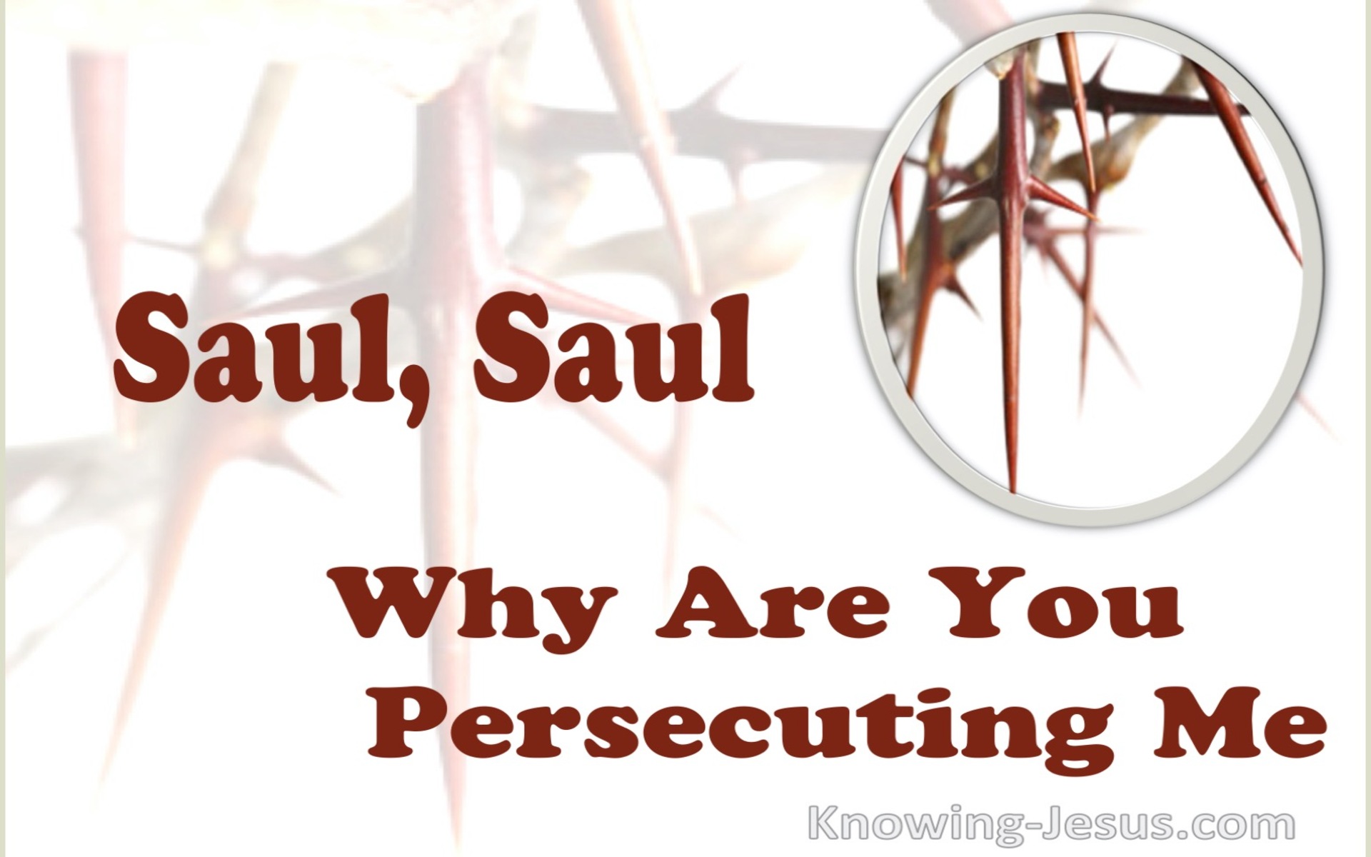 Acts 26:14 Saul, Saul Why Are You Persecuting Me (maroon)